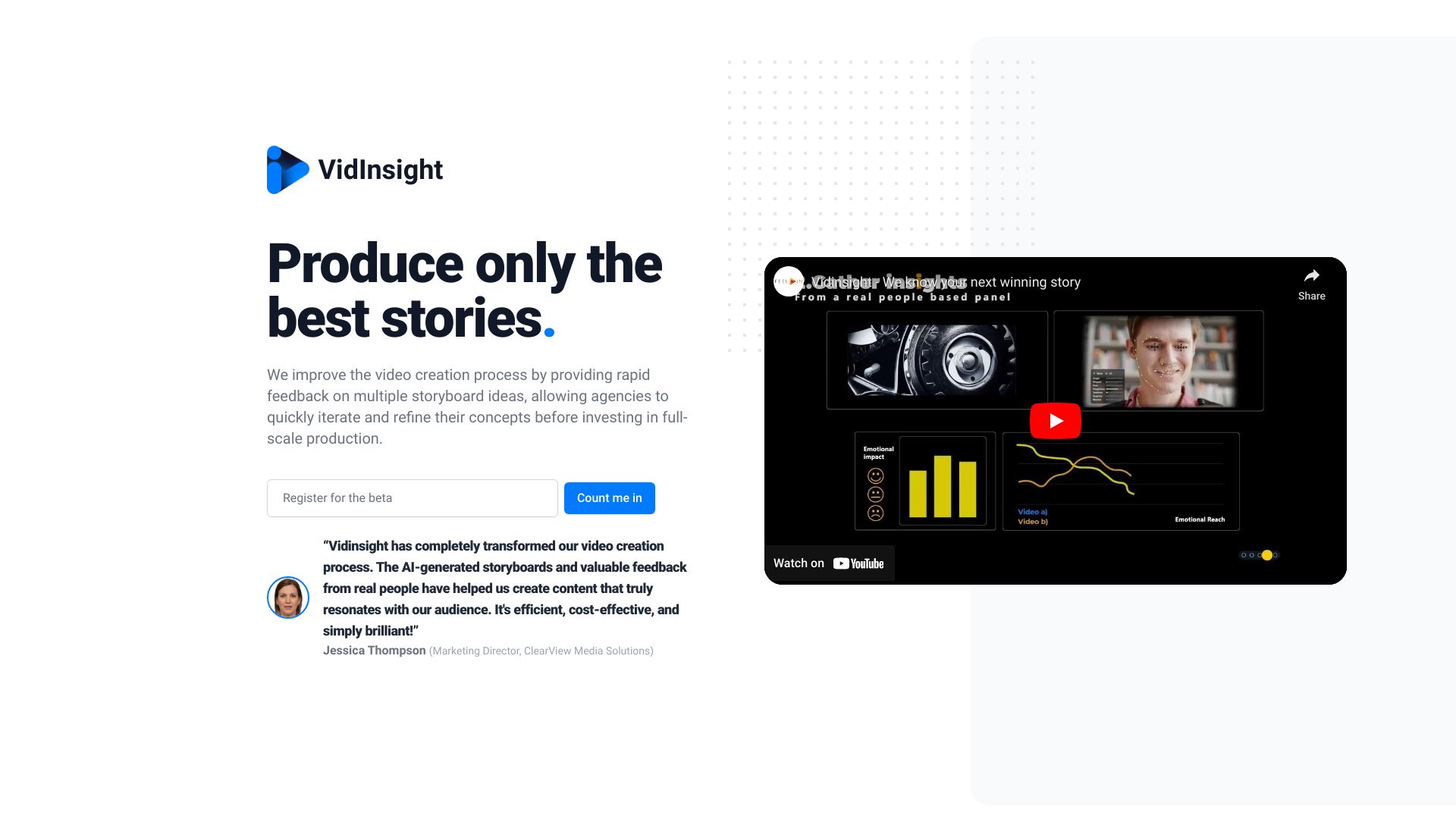 VidInsight screenshot