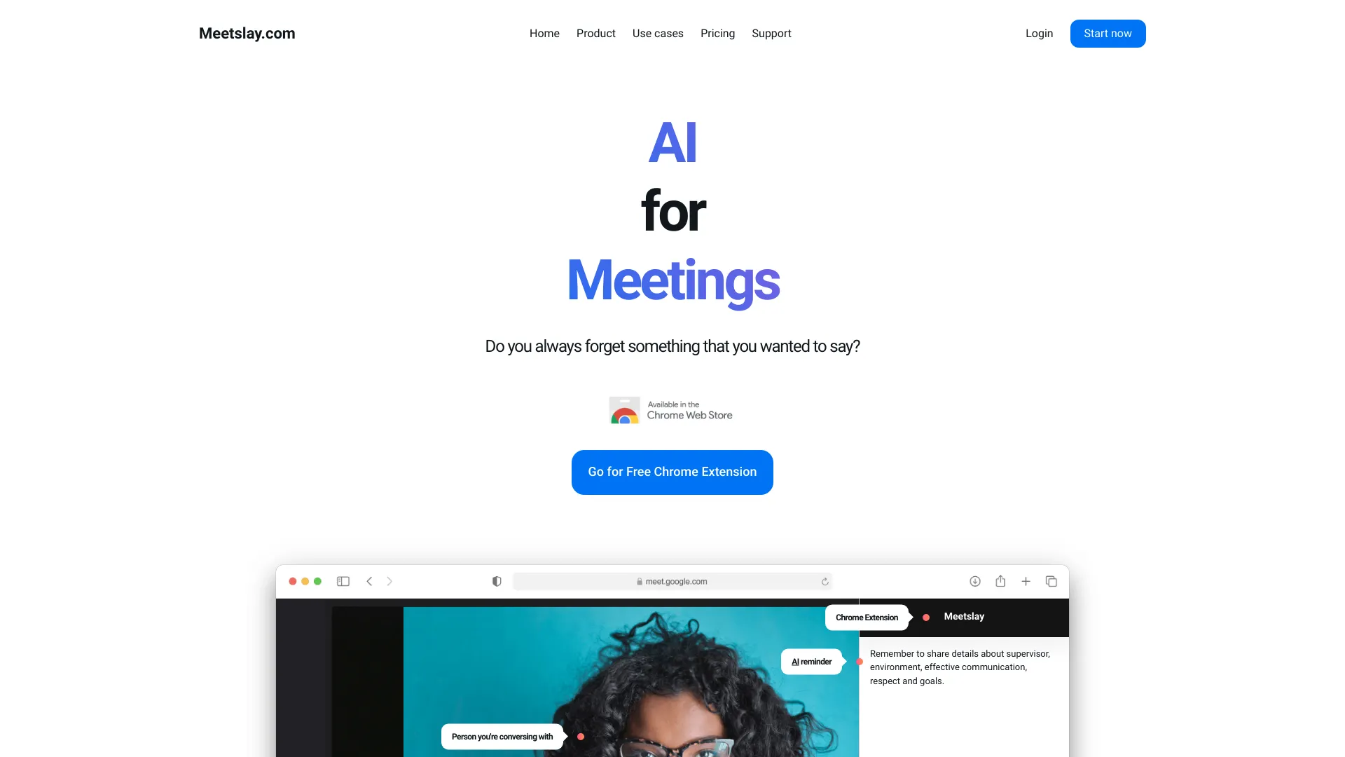 Meetslay screenshot