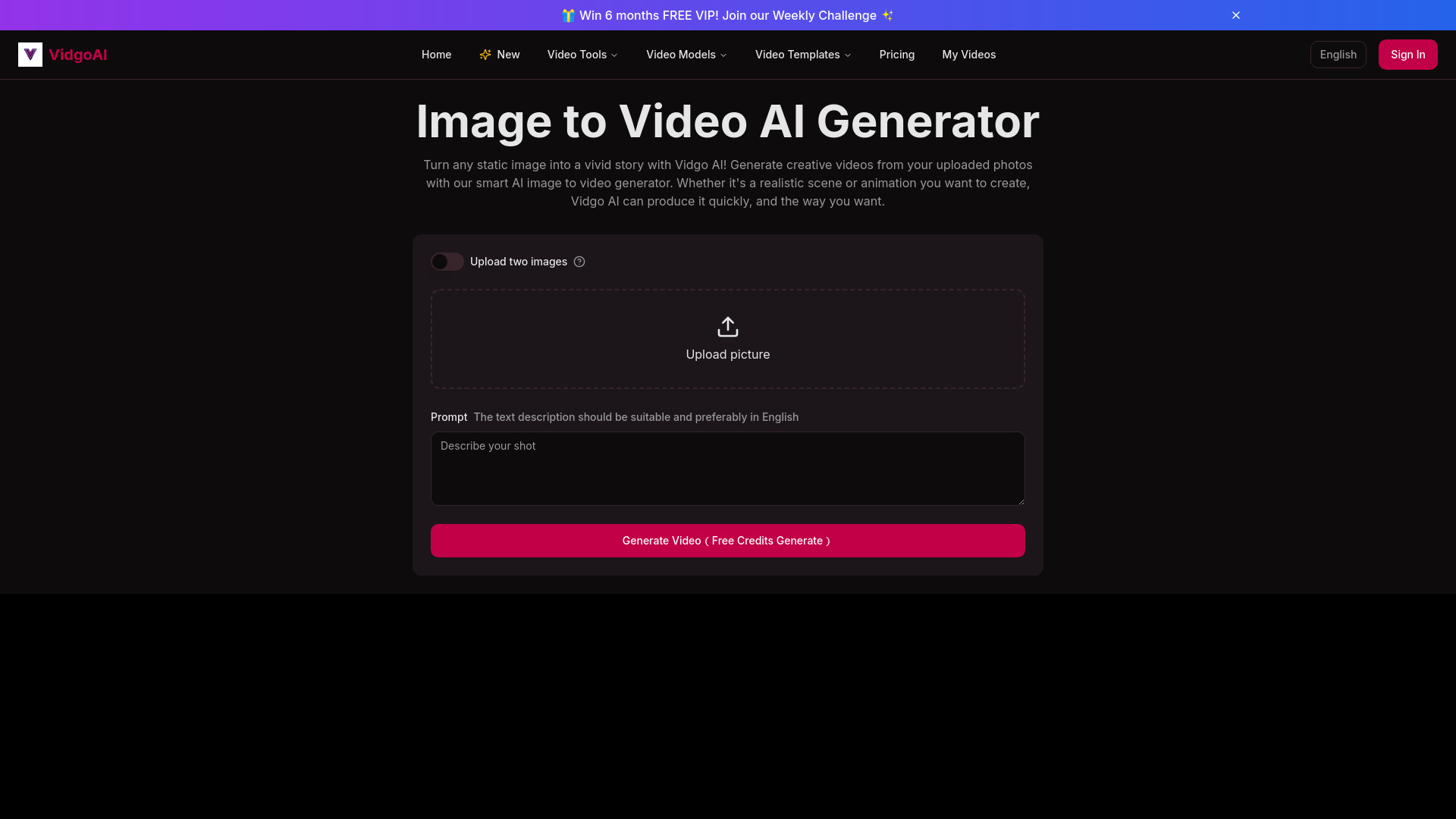 Vidgo AI screenshot