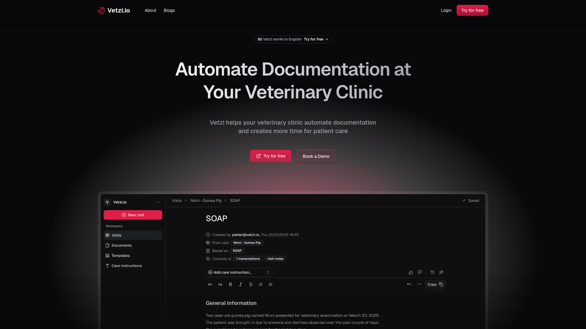 Vetzi.io screenshot