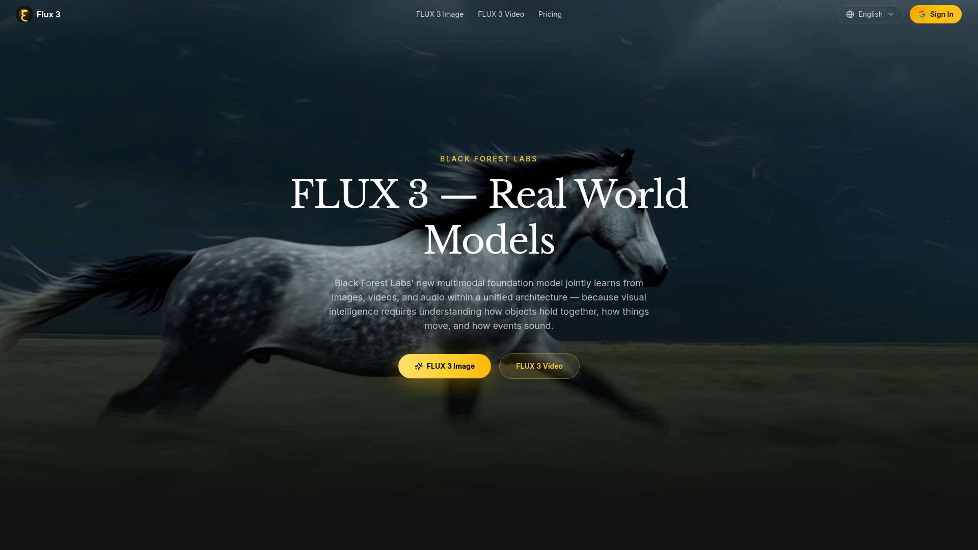 FLUX 3 screenshot