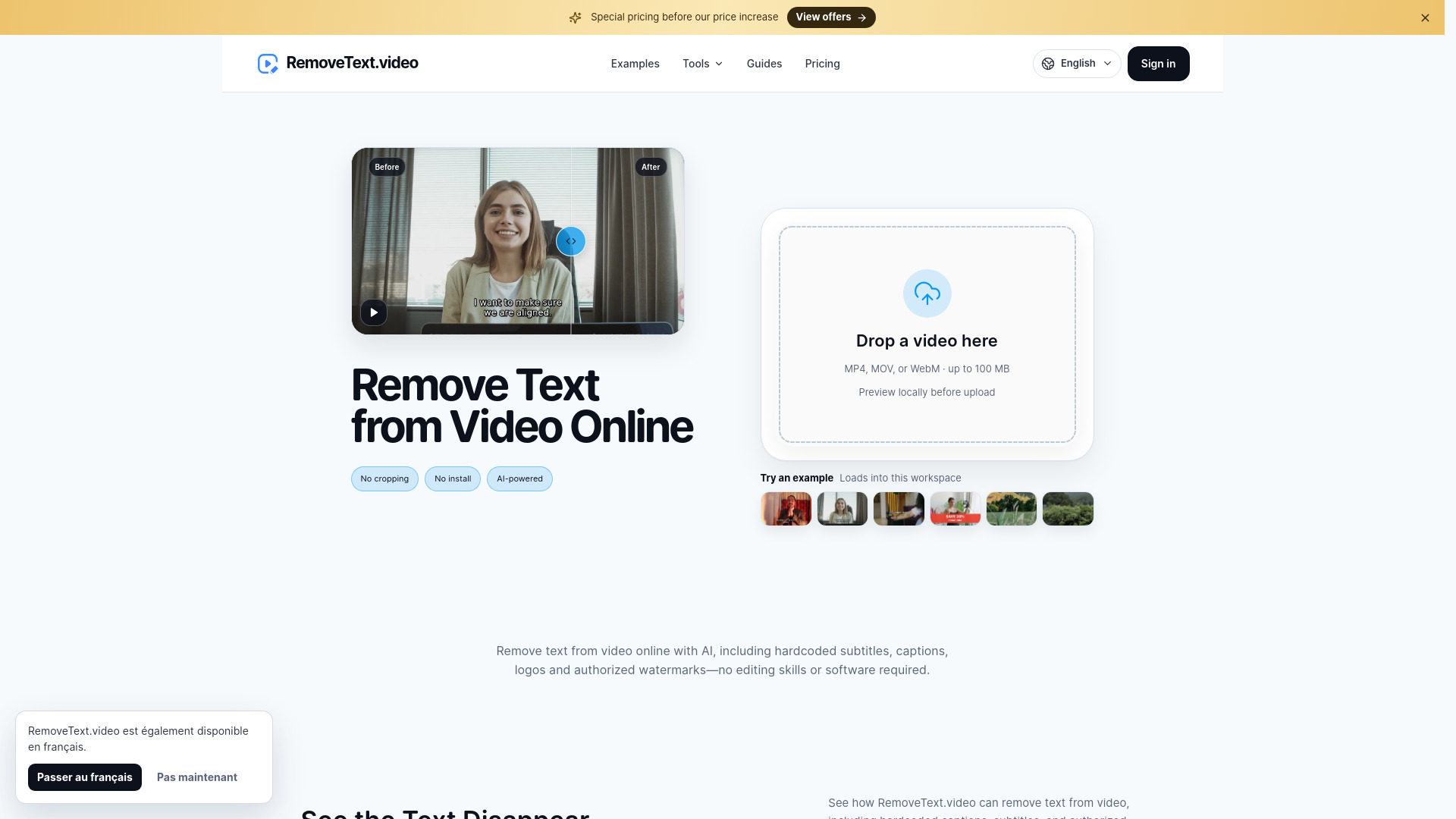 RemoveText.video screenshot